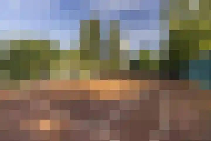 Reijerweg 4 Ridderkerk thumbnail 43