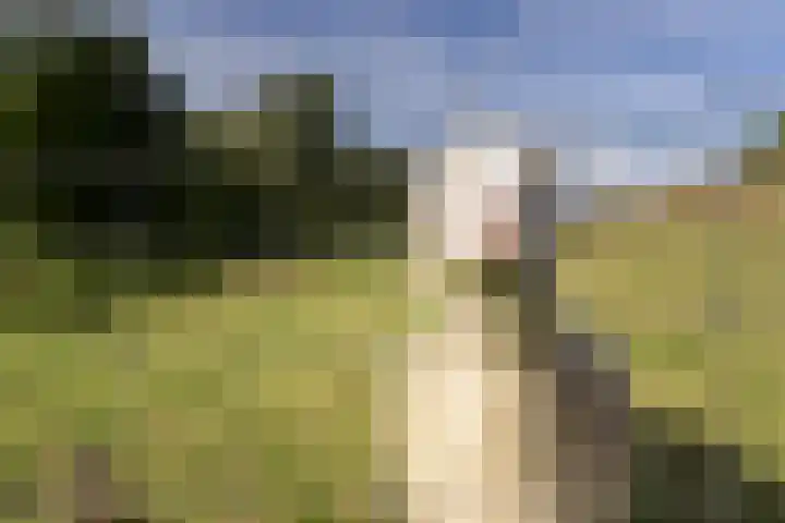 Reijerweg 4 Ridderkerk thumbnail 44