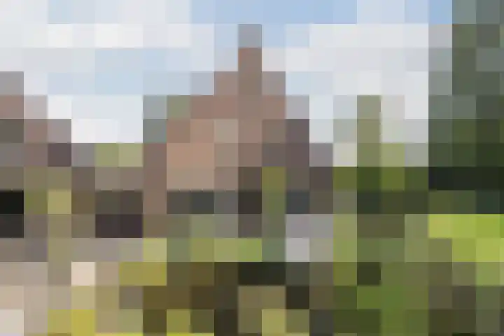 Reijerweg 4 Ridderkerk thumbnail 5