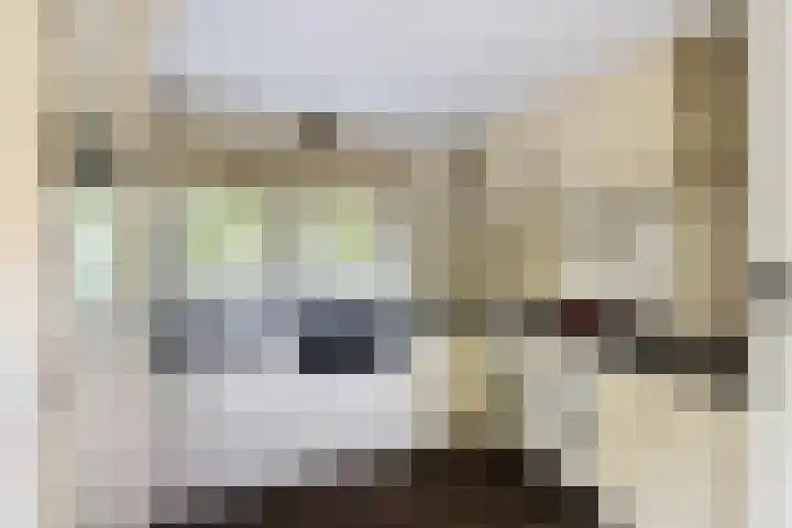Reijerweg 4 Ridderkerk thumbnail 9