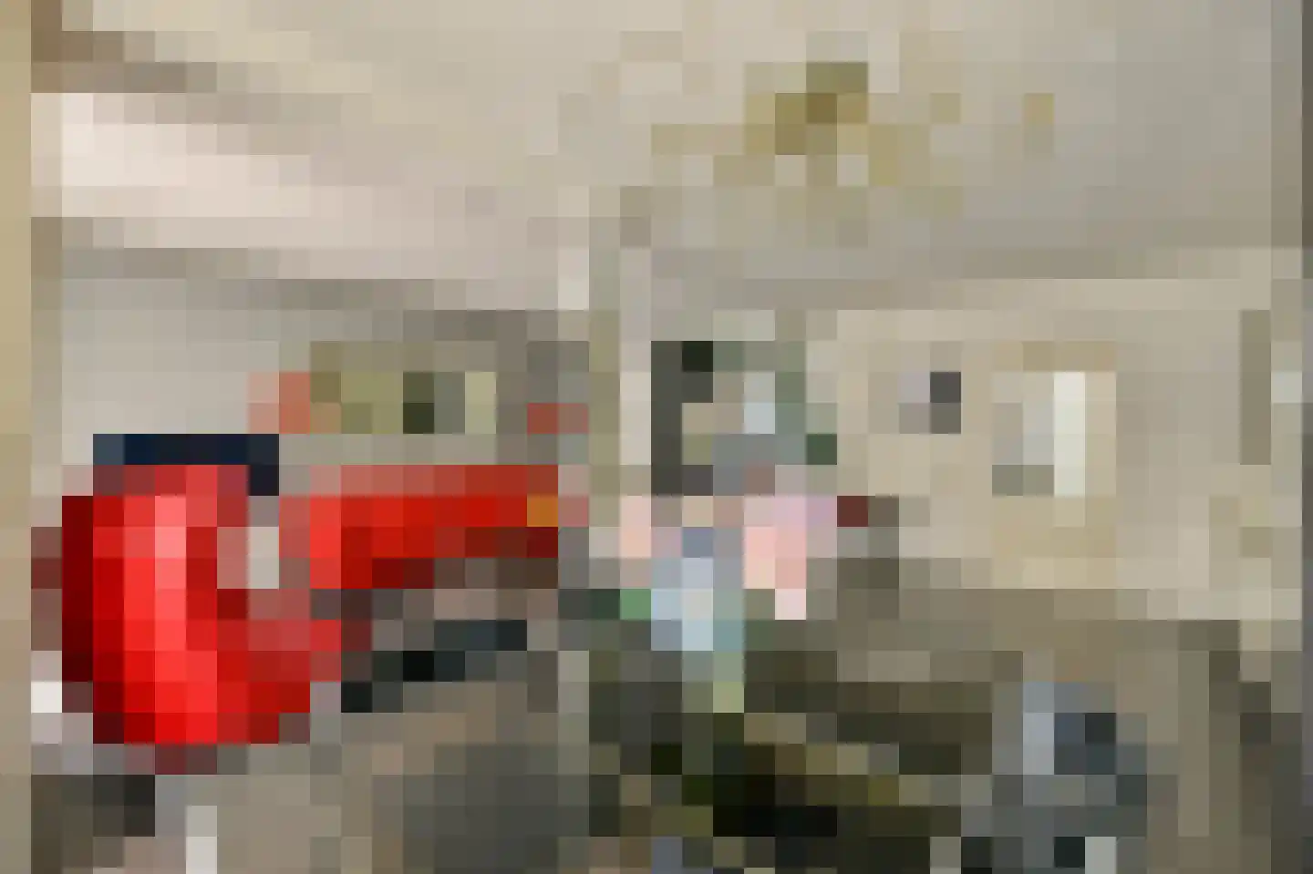 Reijgershof 29 Ouderkerk aan de Amstel thumbnail 8