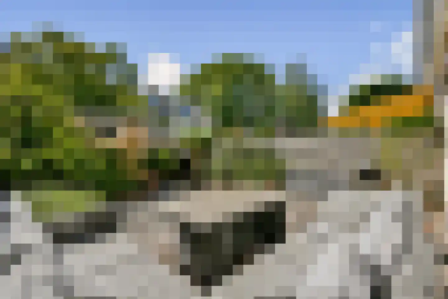 Reijgershof 5 Ouderkerk aan de Amstel thumbnail 12