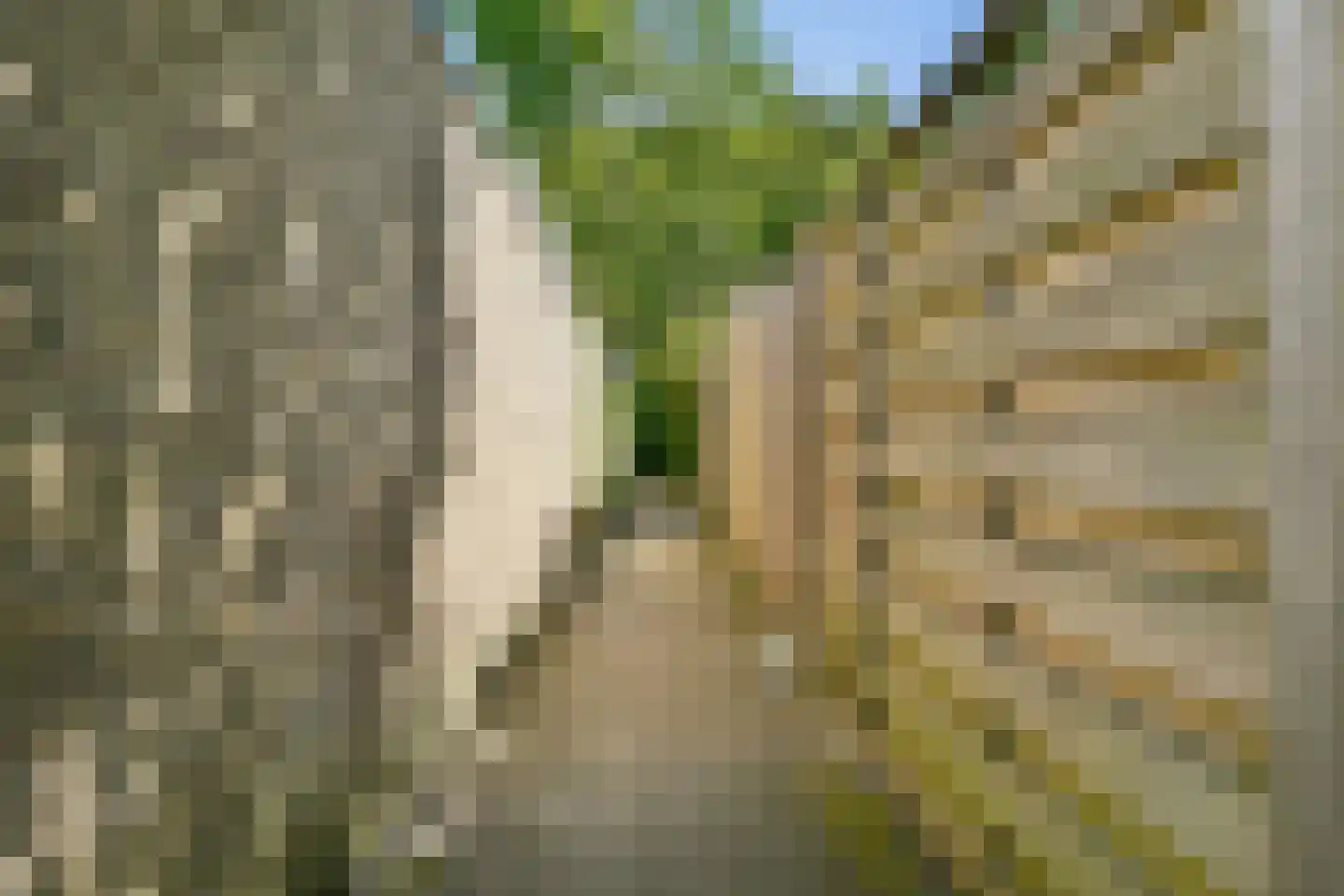 Reijgershof 5 Ouderkerk aan de Amstel thumbnail 16