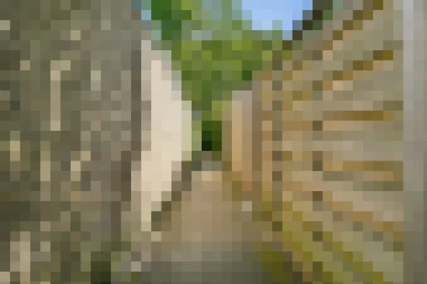 Reijgershof 5 Ouderkerk aan de Amstel thumbnail 17