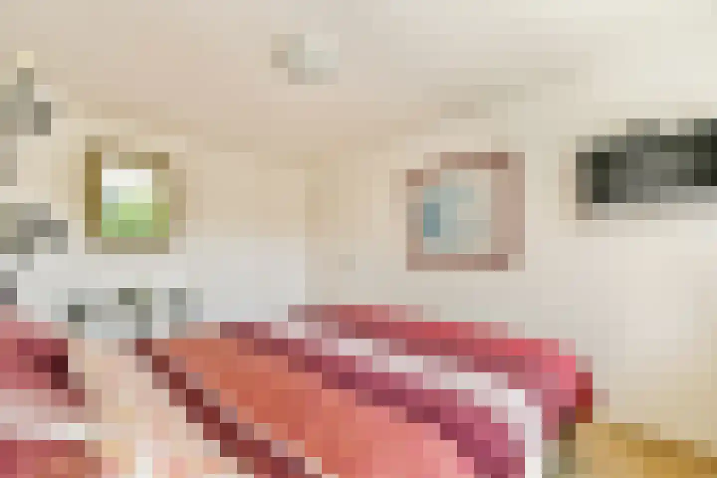 Reijgershof 5 Ouderkerk aan de Amstel thumbnail 20