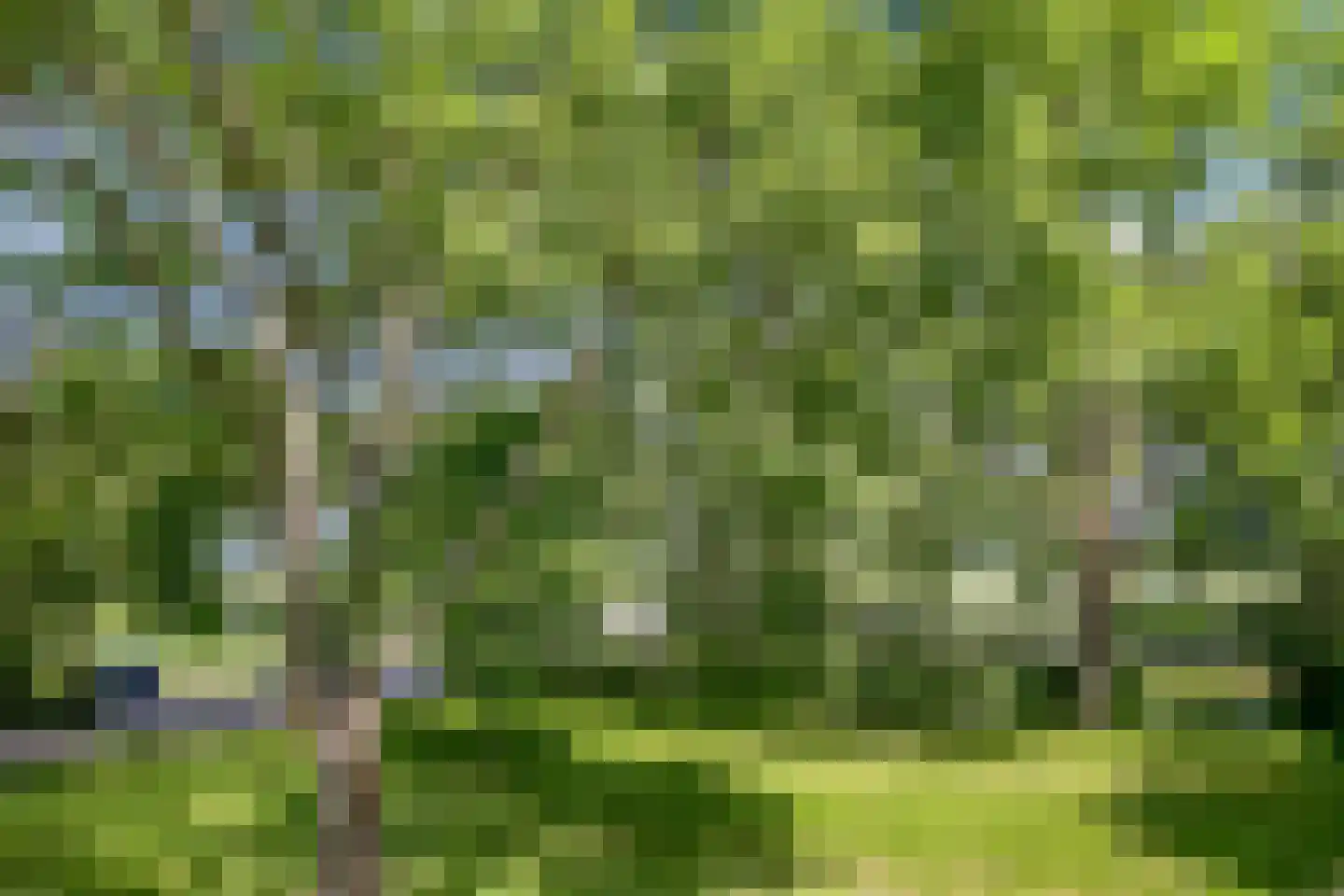 Reijgershof 5 Ouderkerk aan de Amstel thumbnail 21