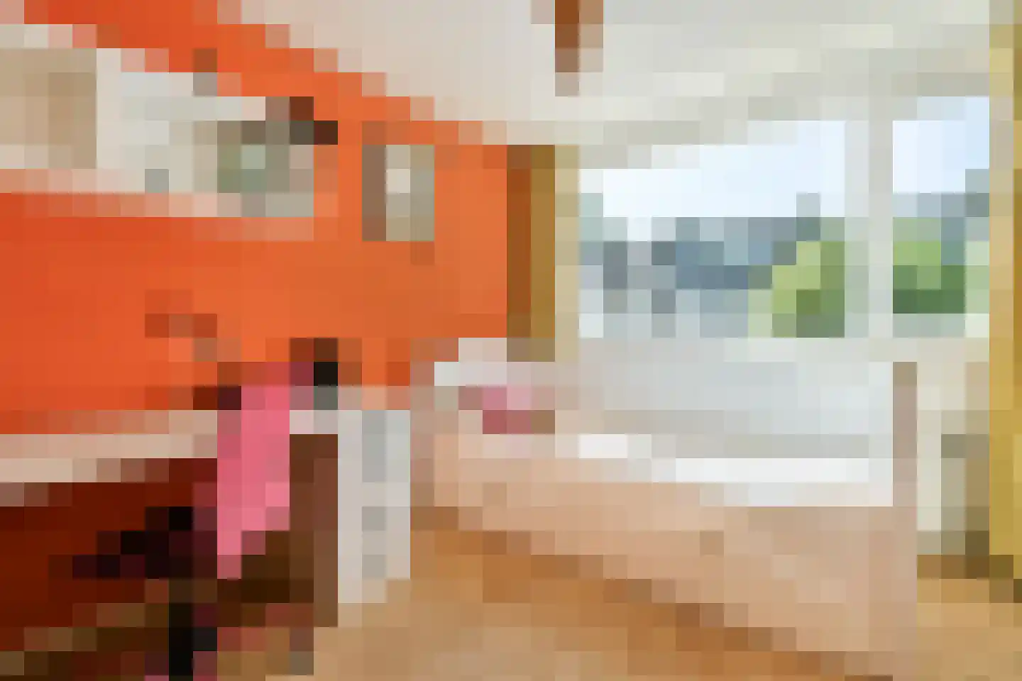Reijgershof 5 Ouderkerk aan de Amstel thumbnail 23