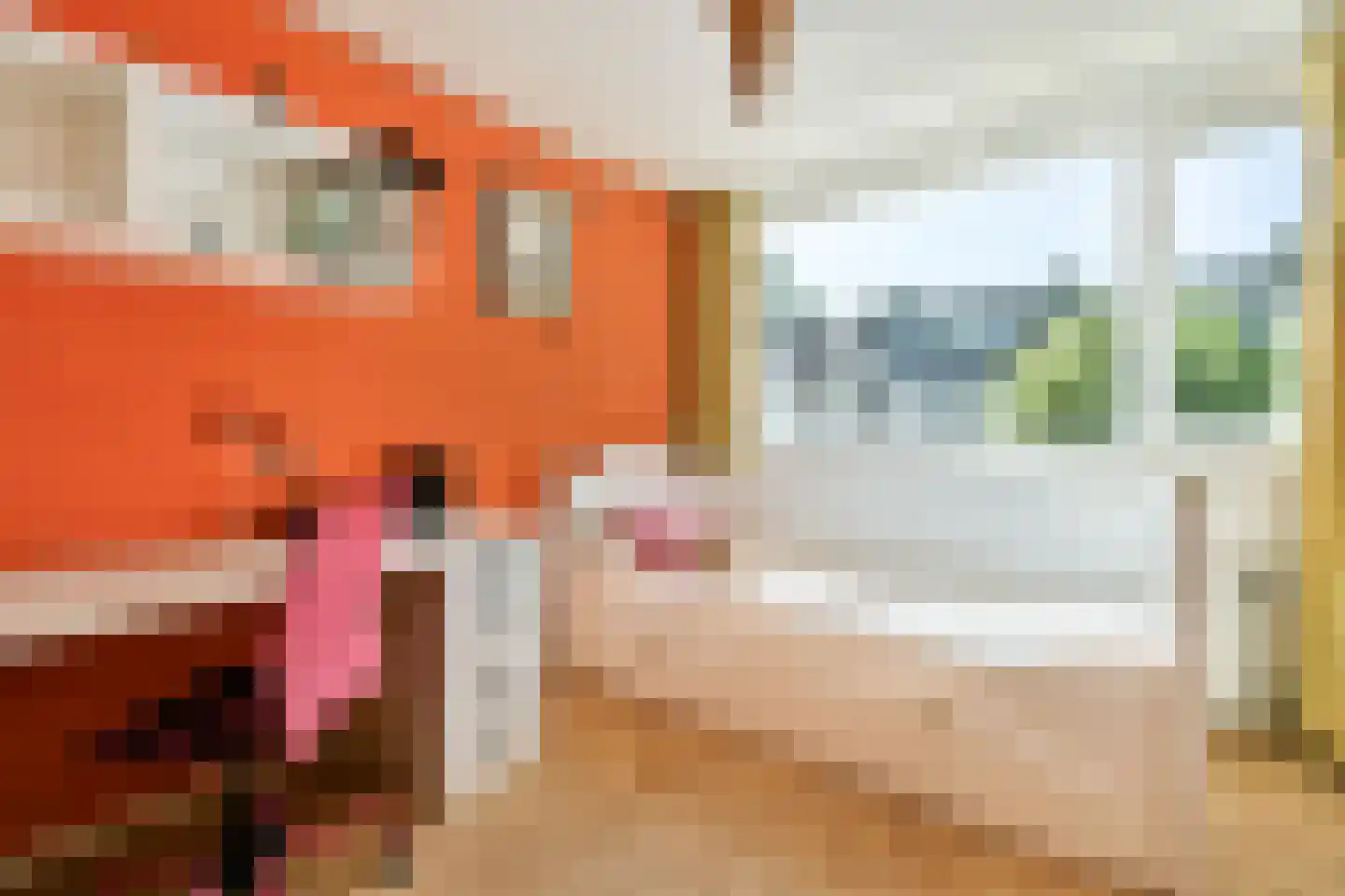 Reijgershof 5 Ouderkerk aan de Amstel thumbnail 24