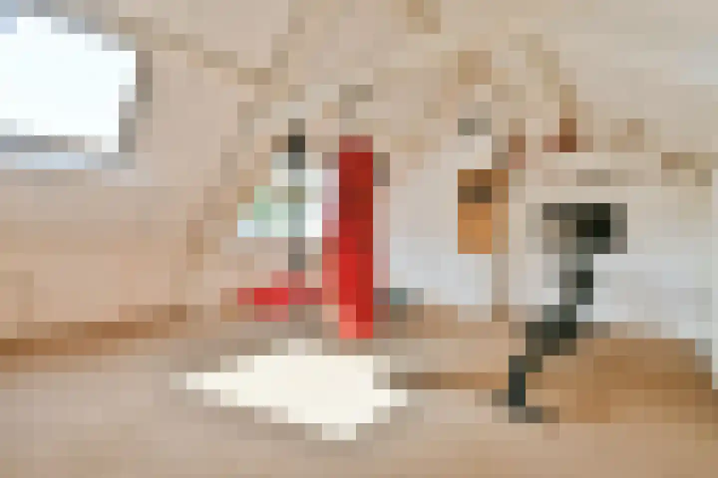 Reijgershof 5 Ouderkerk aan de Amstel thumbnail 28