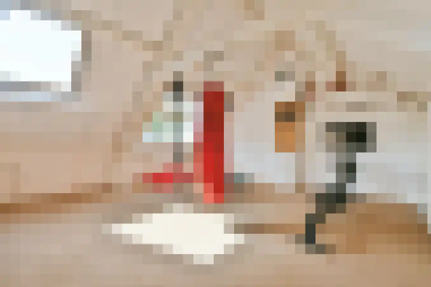 Reijgershof 5 Ouderkerk aan de Amstel thumbnail 29