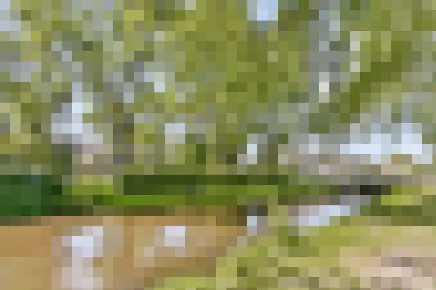 Reijgershof 5 Ouderkerk aan de Amstel thumbnail 32
