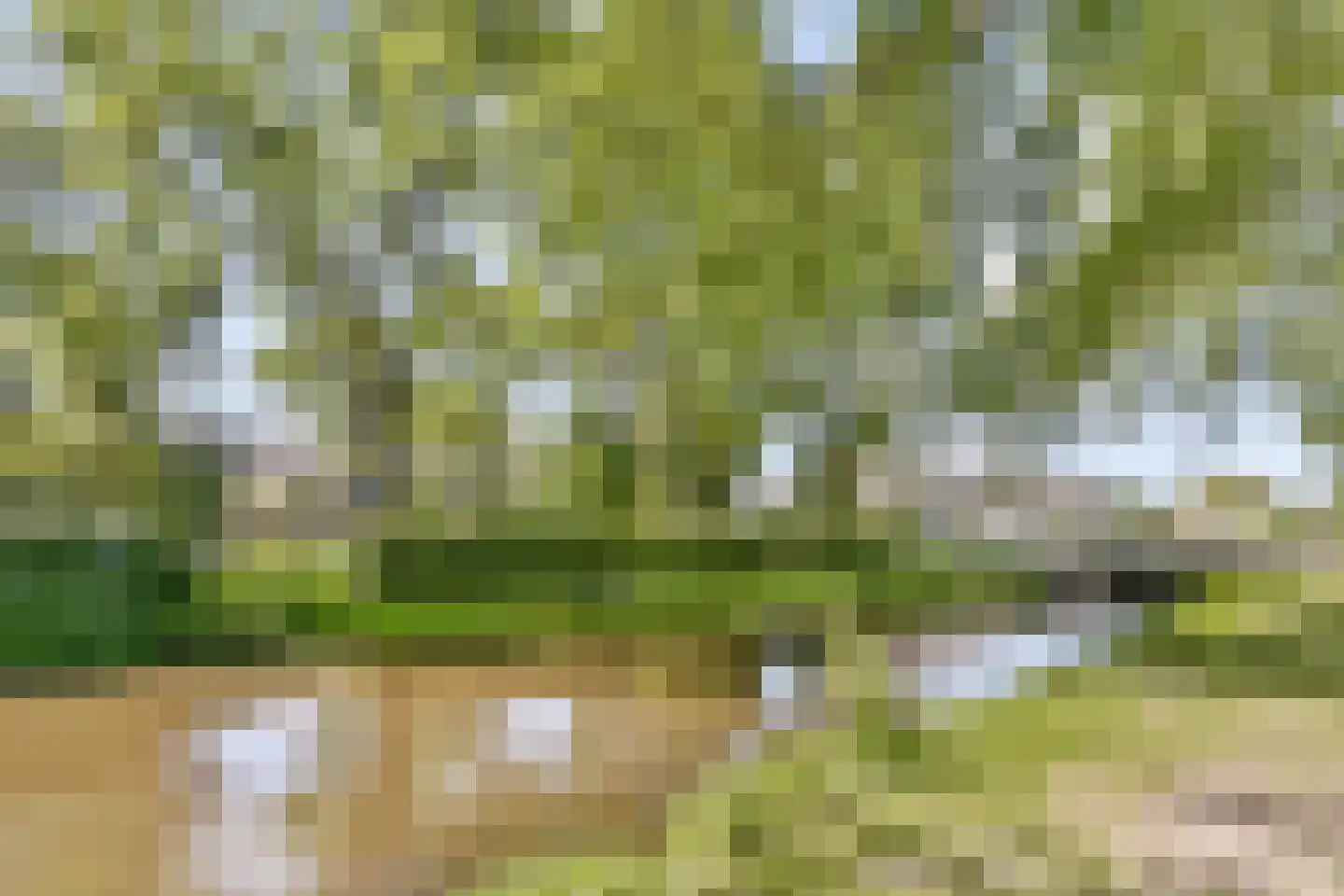 Reijgershof 5 Ouderkerk aan de Amstel thumbnail 32