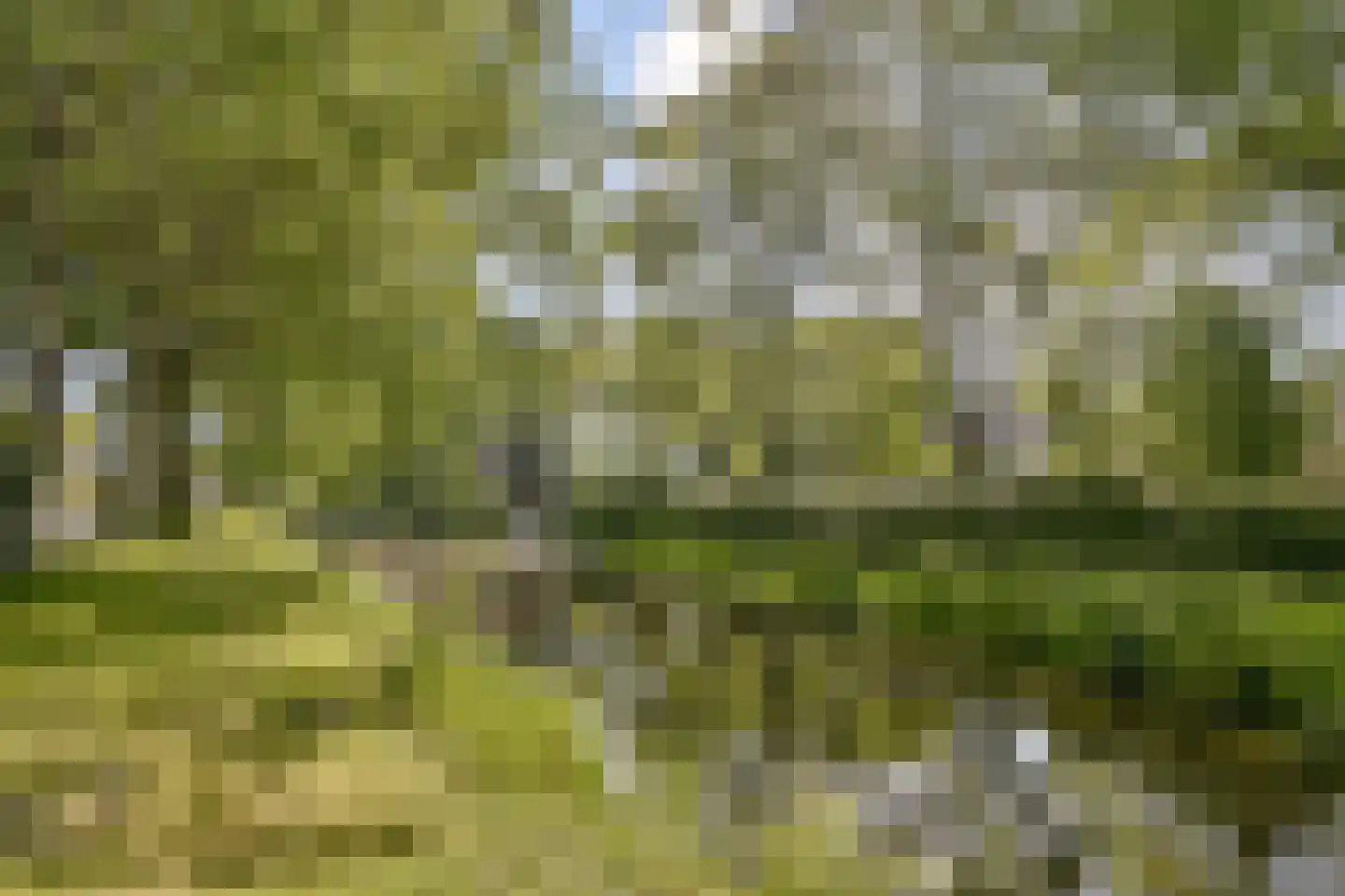 Reijgershof 5 Ouderkerk aan de Amstel thumbnail 33