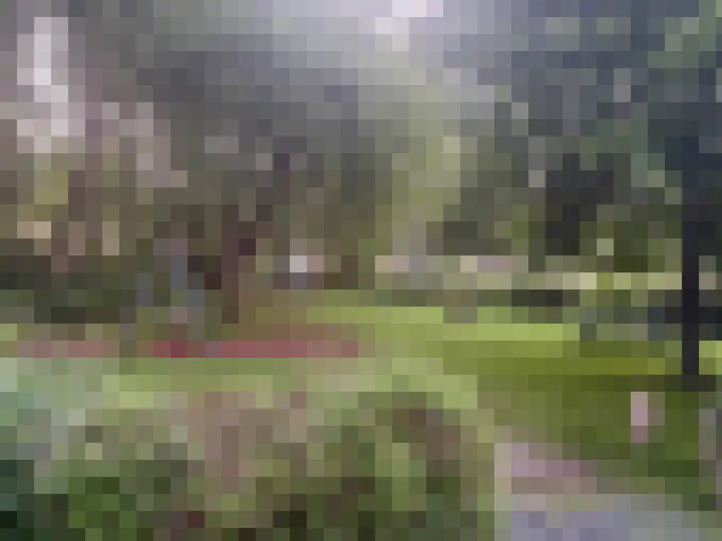 Reijgershof 5 Ouderkerk aan de Amstel thumbnail 34