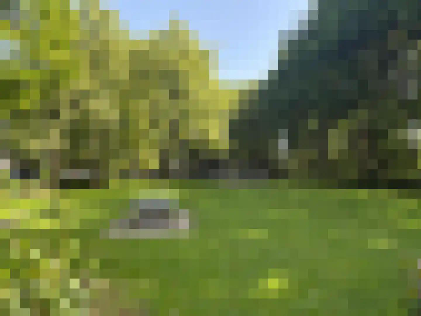Reijgershof 5 Ouderkerk aan de Amstel thumbnail 35