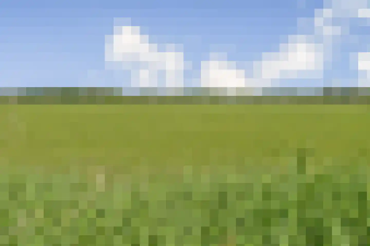 Reijgershof 5 Ouderkerk aan de Amstel thumbnail 36