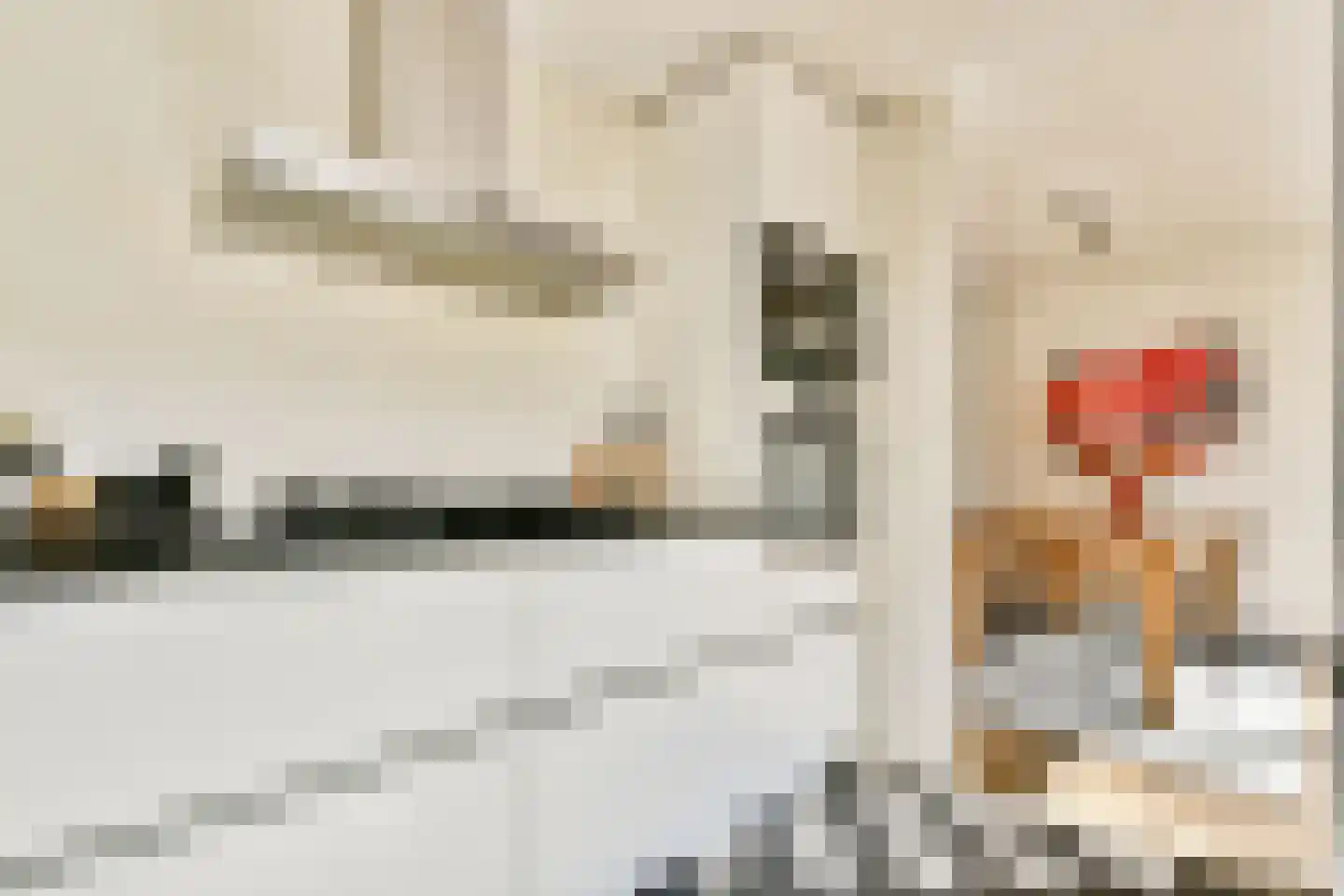Reijgershof 5 Ouderkerk aan de Amstel thumbnail 9