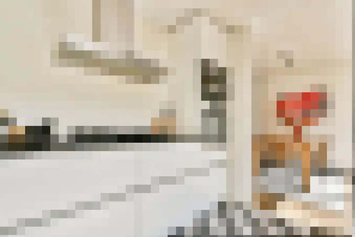 Reijgershof 5 Ouderkerk aan de Amstel thumbnail 9