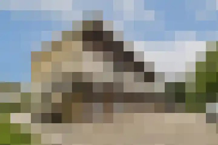 Reijgershof 56 Ouderkerk aan de Amstel thumbnail 21