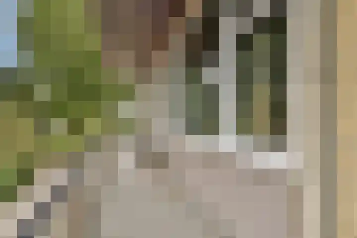 Reijgershof 56 Ouderkerk aan de Amstel thumbnail 4