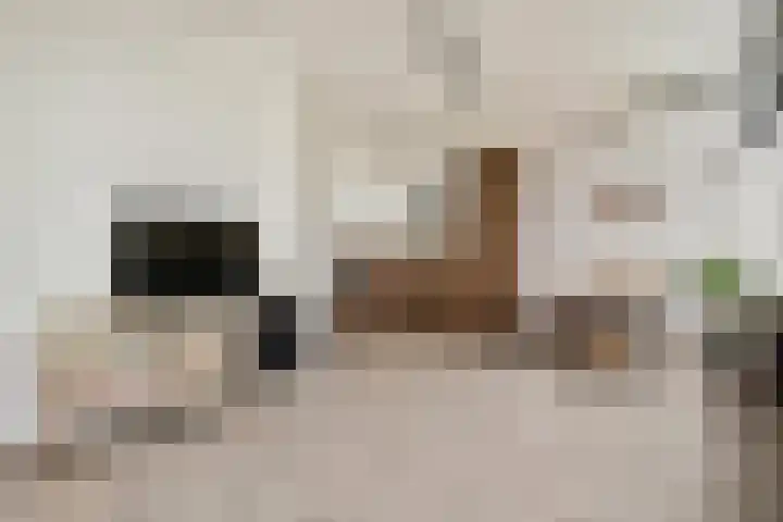 Reijgershof 56 Ouderkerk aan de Amstel thumbnail 7