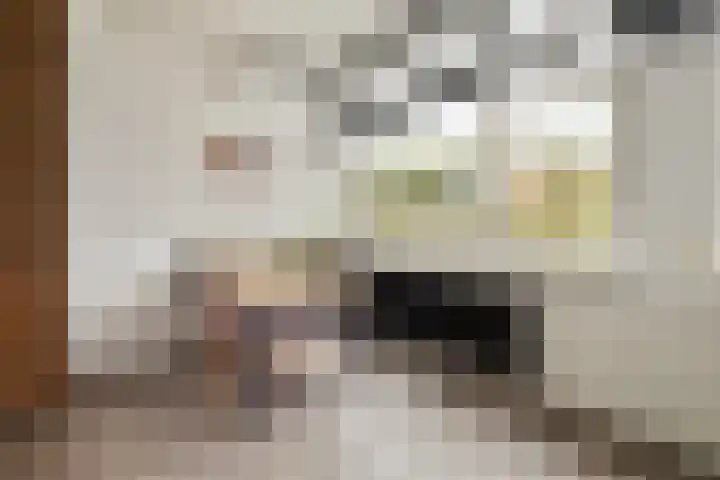 Reijgershof 56 Ouderkerk aan de Amstel thumbnail 8