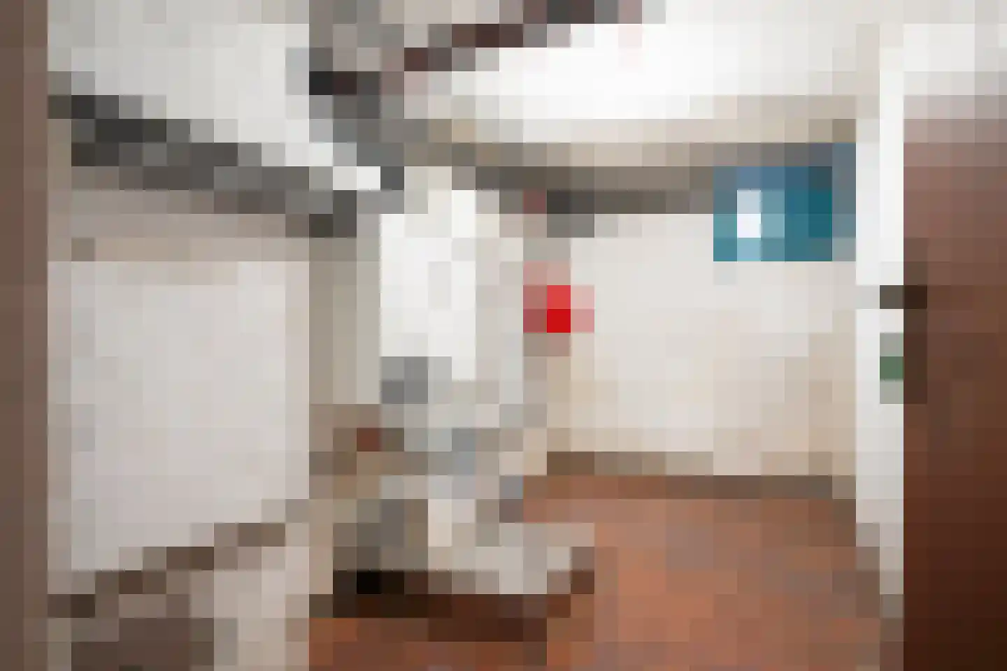 Reijmerstokkerdorpsstraat 107 Reijmerstok thumbnail 22