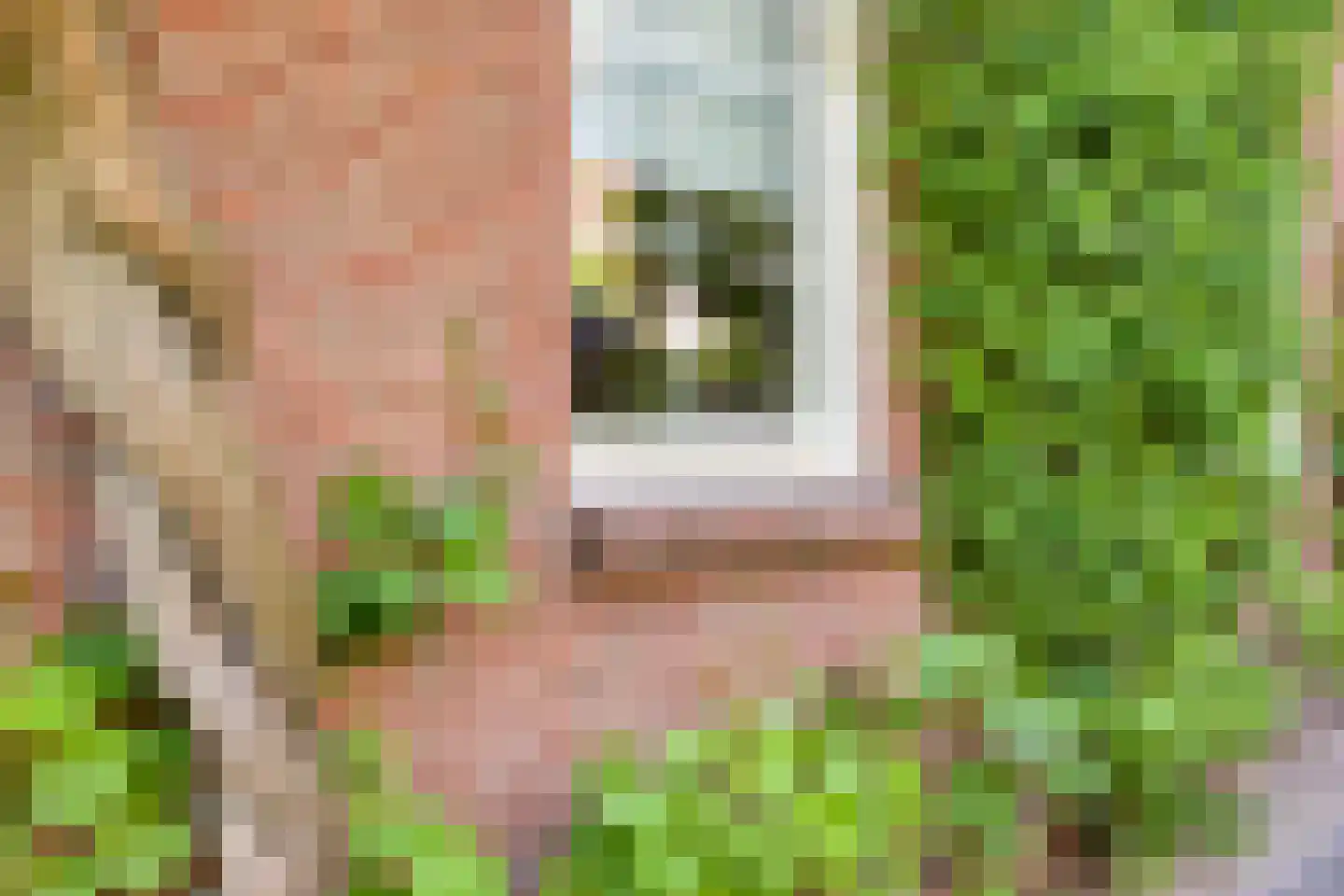 Reijmerstokkerdorpsstraat 20 Reijmerstok thumbnail 10