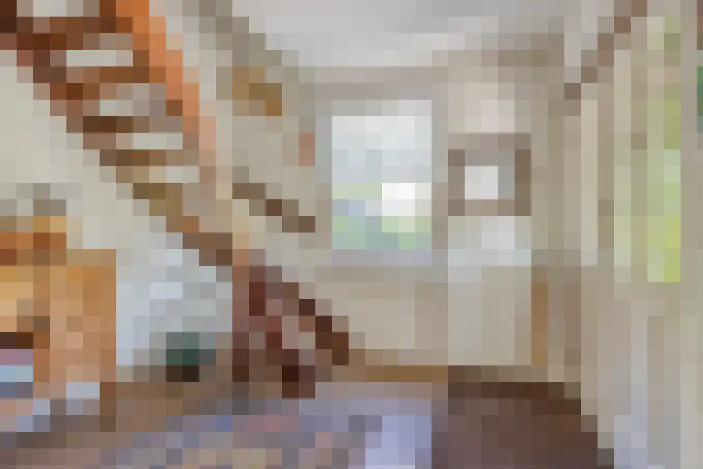 Reijmerstokkerdorpsstraat 20 Reijmerstok thumbnail 15