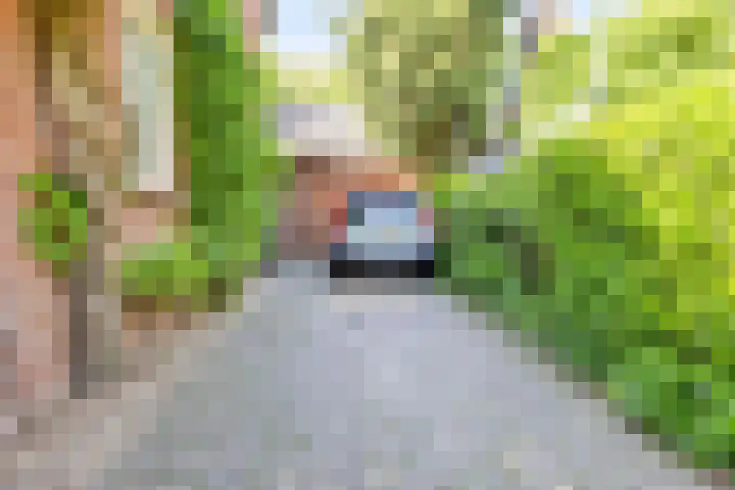 Reijmerstokkerdorpsstraat 20 Reijmerstok thumbnail 30