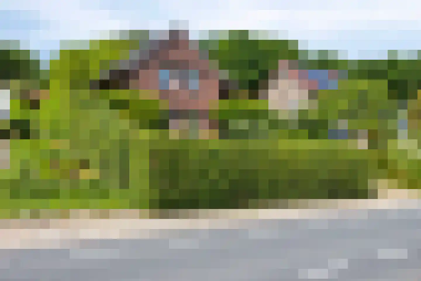 Reijmerstokkerdorpsstraat 20 Reijmerstok thumbnail 41