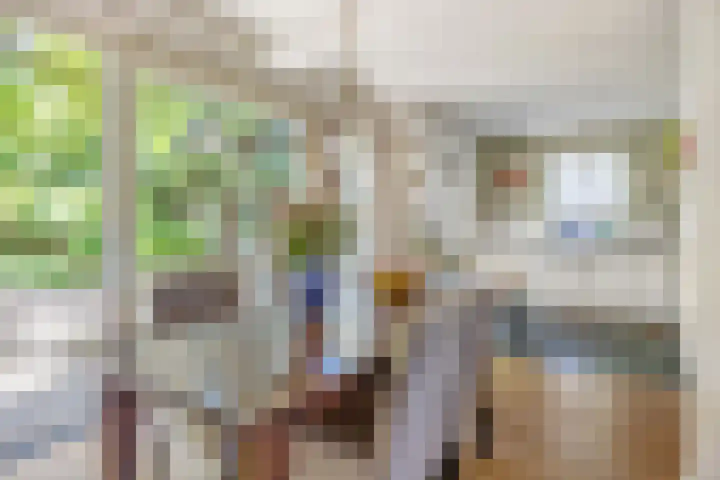 Reijmerstokkerdorpsstraat 20 Reijmerstok thumbnail 5