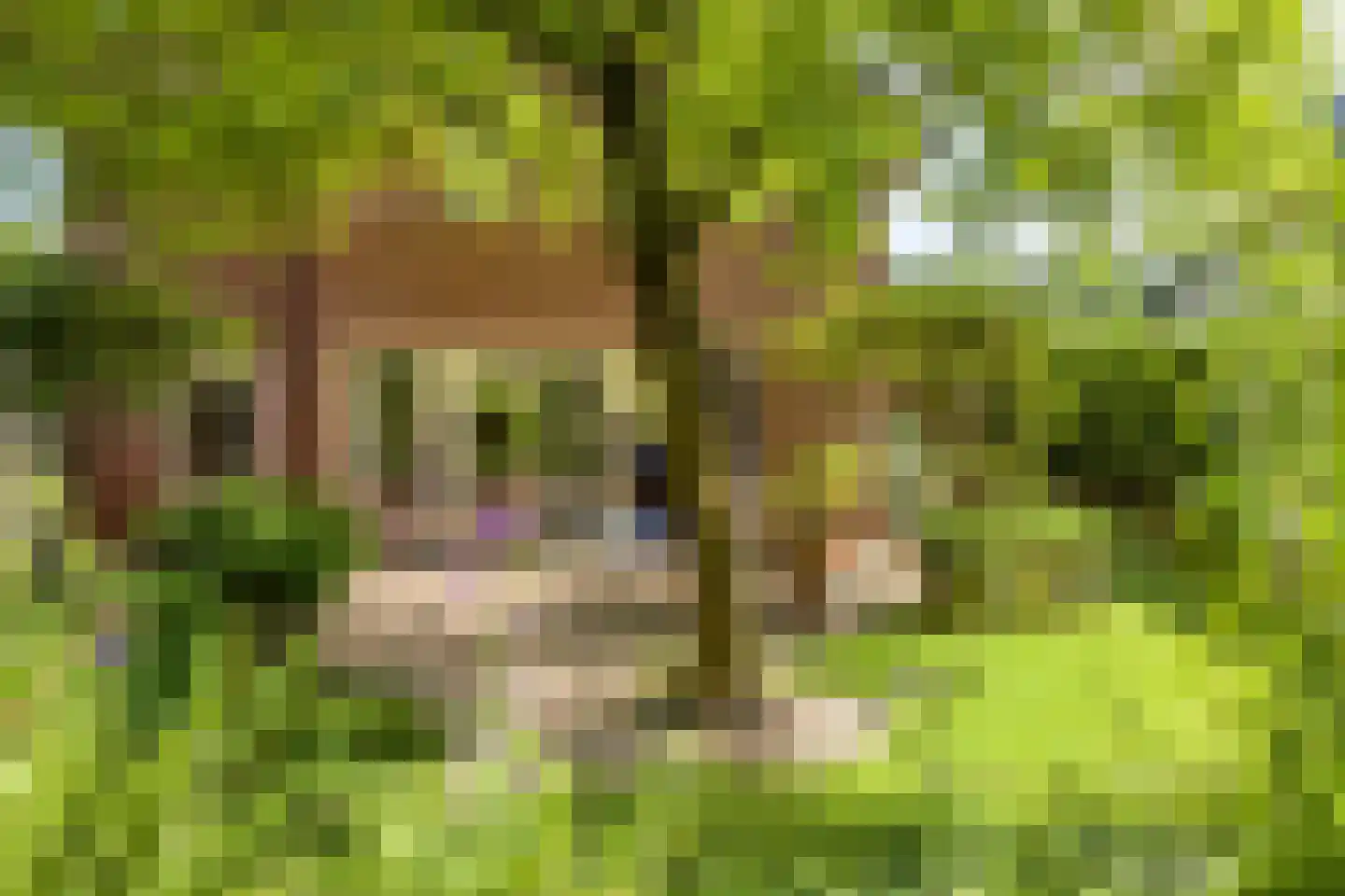 Reijmerstokkerdorpsstraat 20 Reijmerstok thumbnail 60