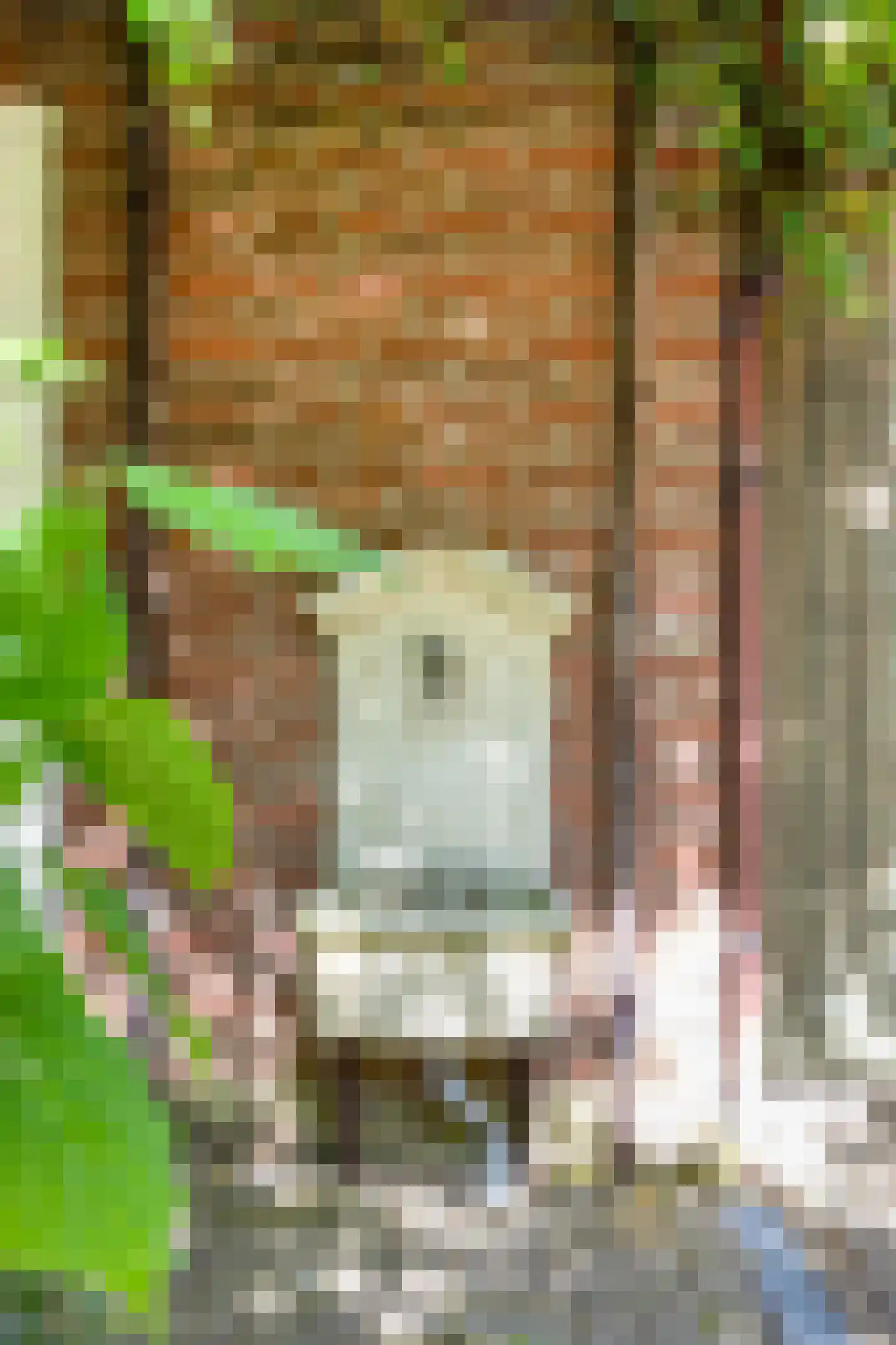 Reijmerstokkerdorpsstraat 20 Reijmerstok thumbnail 64