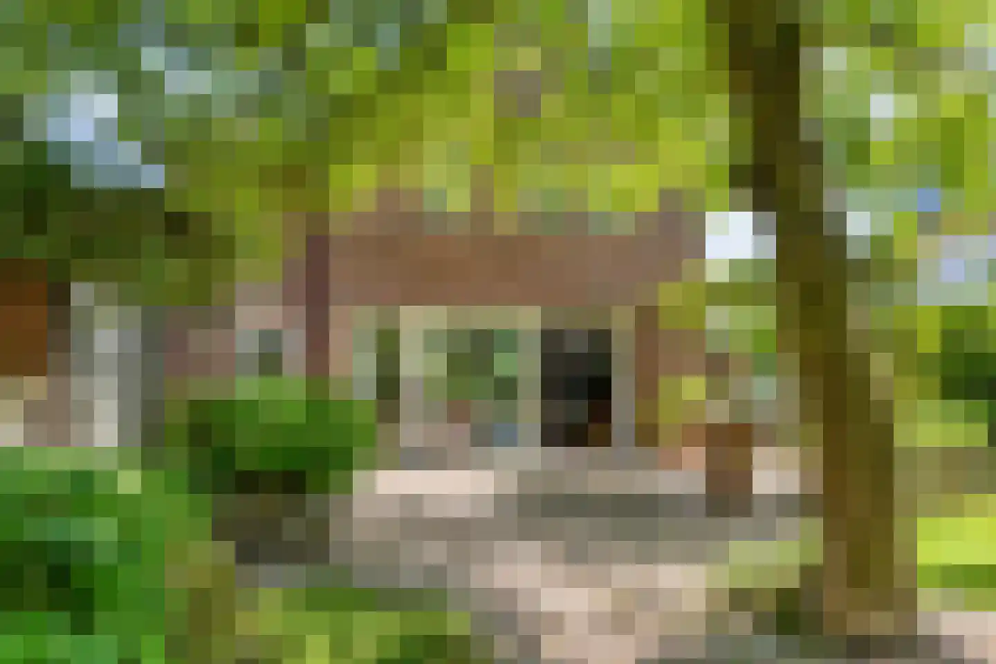 Reijmerstokkerdorpsstraat 20 Reijmerstok thumbnail 66