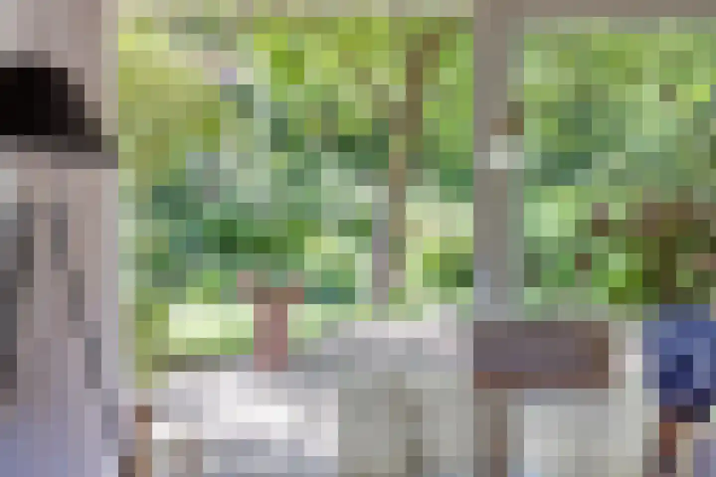 Reijmerstokkerdorpsstraat 20 Reijmerstok thumbnail 7