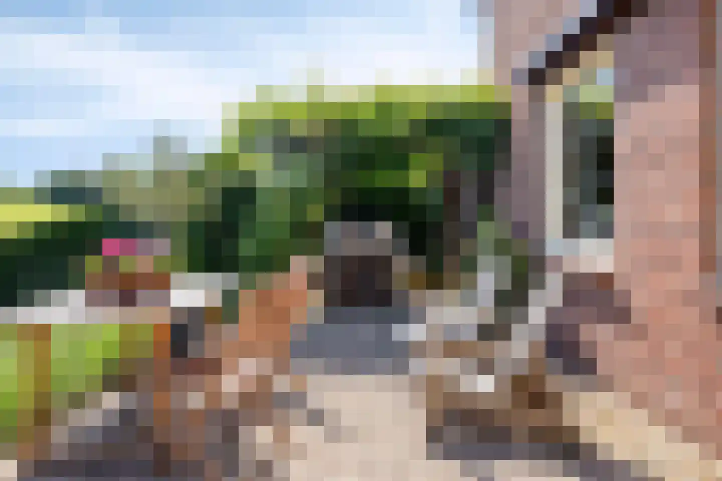 Reijmerstokkerdorpsstraat 20 Reijmerstok thumbnail 8