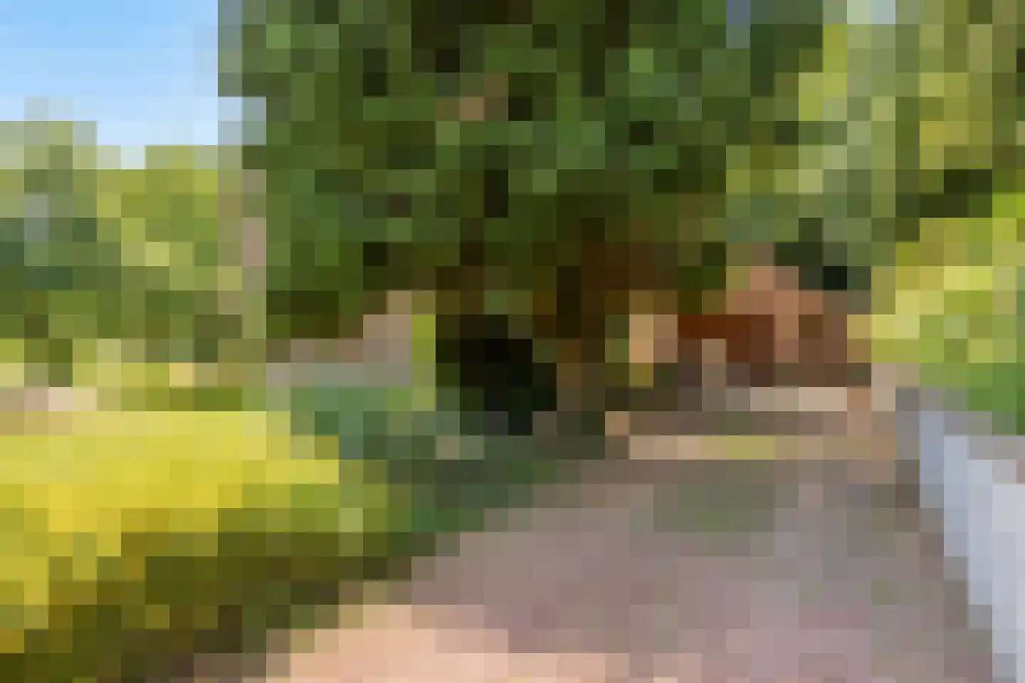 Reijmerstokkerdorpsstraat 34 Reijmerstok thumbnail 34