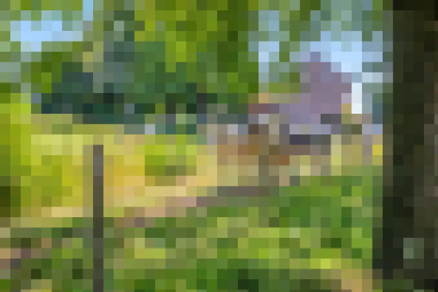 Reijmerstokkerdorpsstraat 34 Reijmerstok thumbnail 41