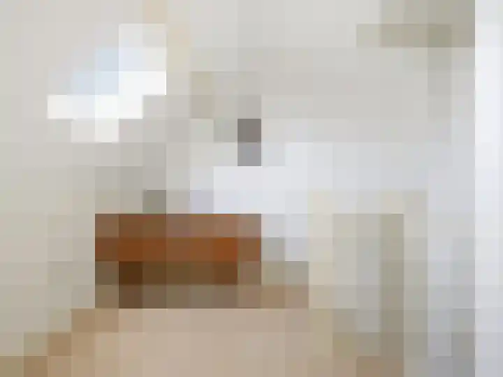 Reijmerweg 25 Renkum thumbnail 30
