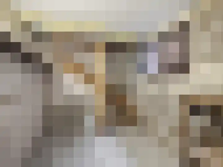 Reijmerweg 25 Renkum thumbnail 34