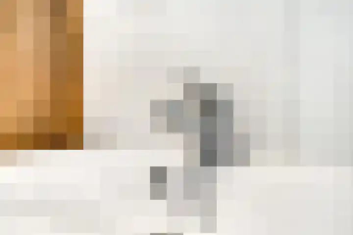 Reijmerweg 3 G Renkum thumbnail 11