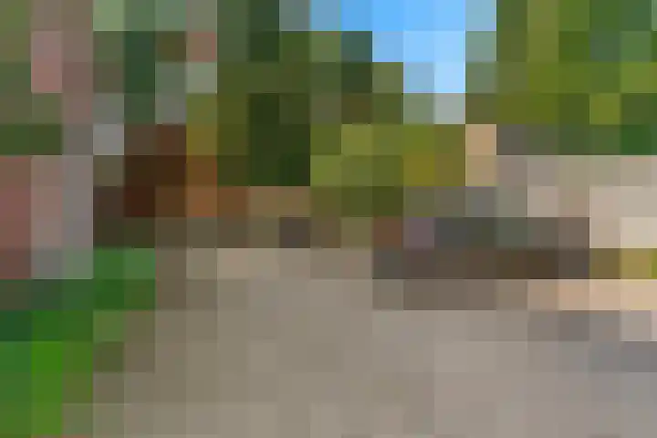 Reijmerweg 3 G Renkum thumbnail 18