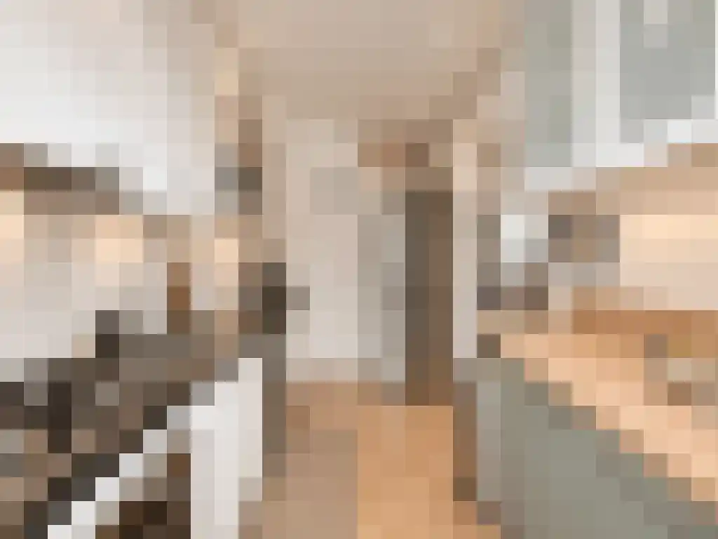 Reijnier Vinkeleskade 60 Amsterdam thumbnail 4