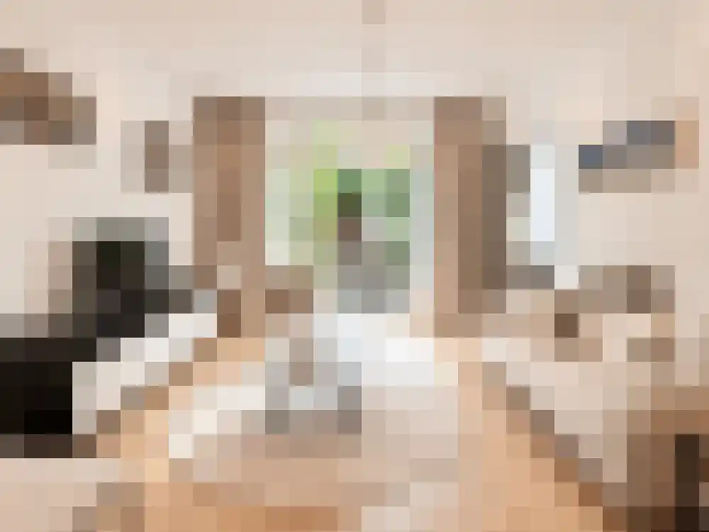 Reijnier Vinkeleskade 60 Amsterdam thumbnail 9