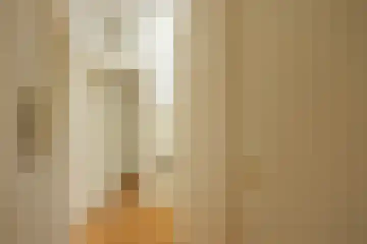Reijnier Vinkeleskade 79 Amsterdam thumbnail 13