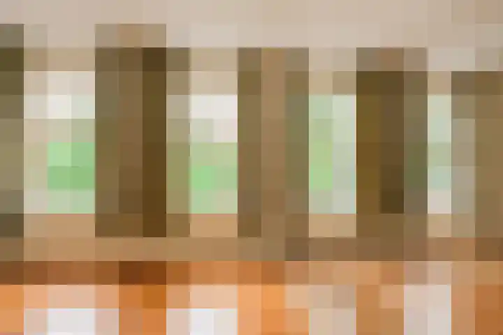 Reijnier Vinkeleskade 79 Amsterdam thumbnail 15