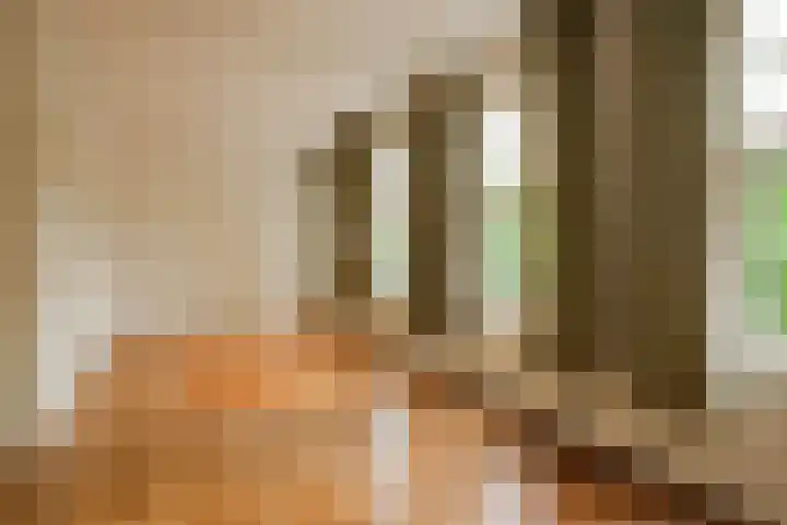 Reijnier Vinkeleskade 79 Amsterdam thumbnail 16