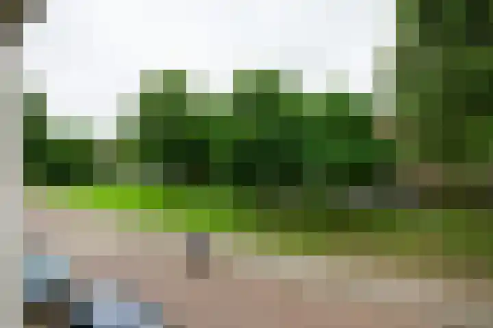 Reijnier Vinkeleskade 79 Amsterdam thumbnail 18