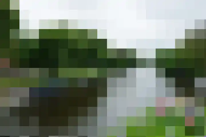 Reijnier Vinkeleskade 79 Amsterdam thumbnail 23